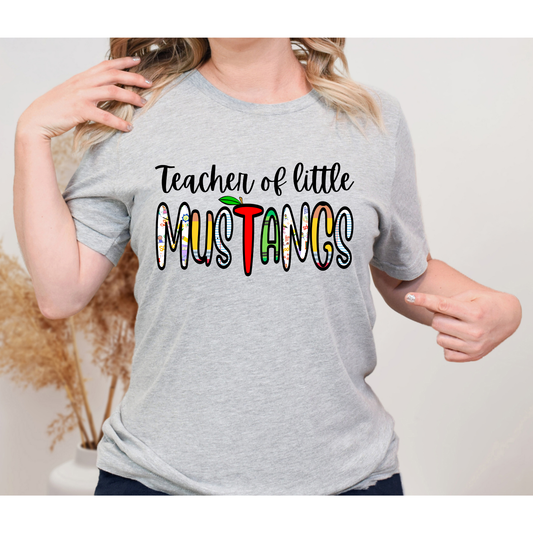 Teacher of Little Mustangs